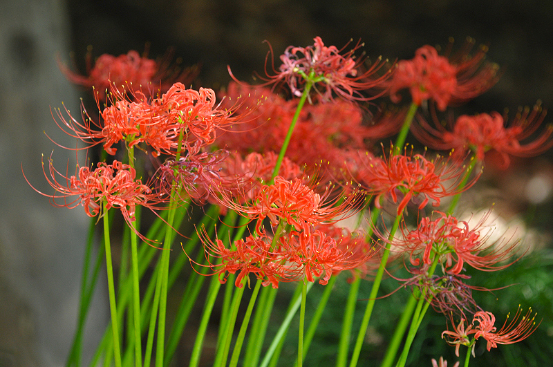 image0164