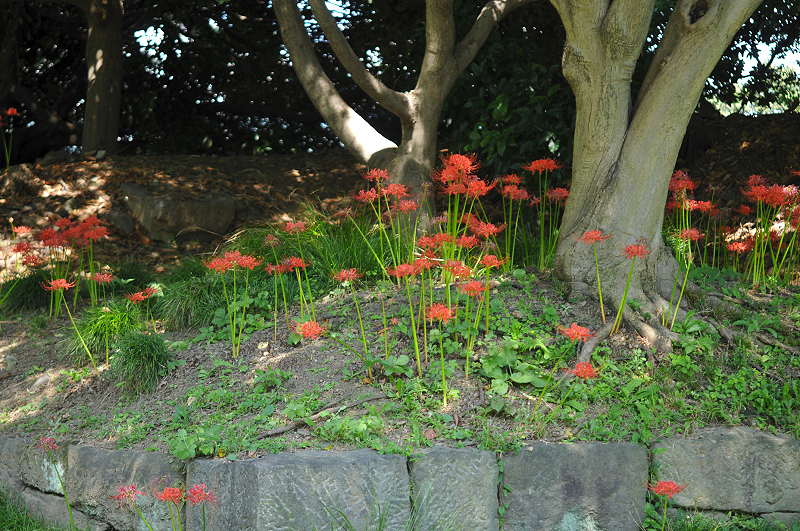 image0166