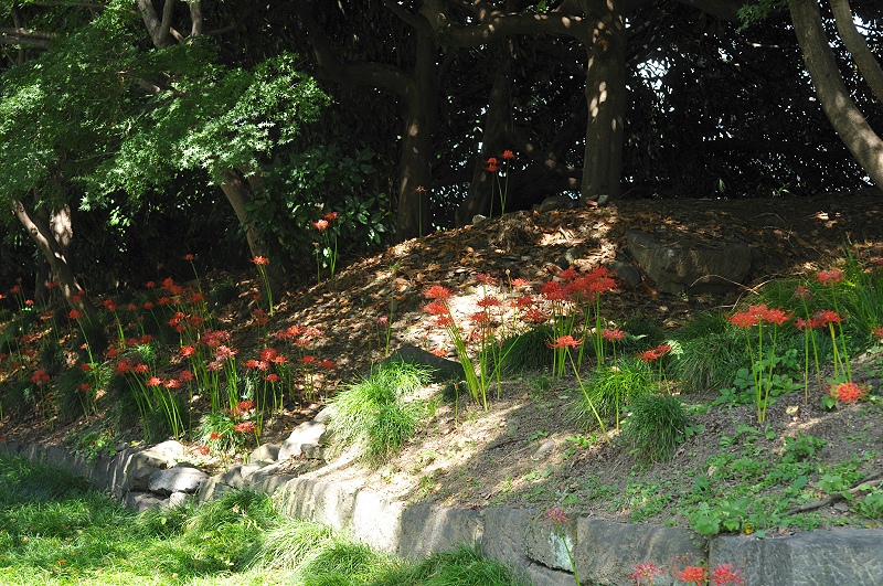 image0167