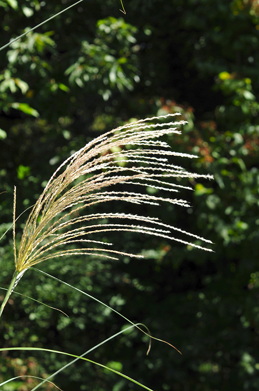 image0169