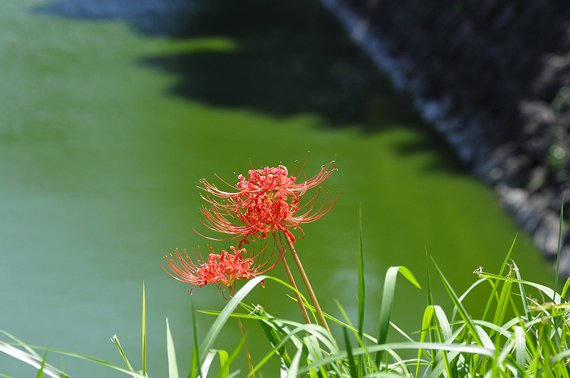 image0171