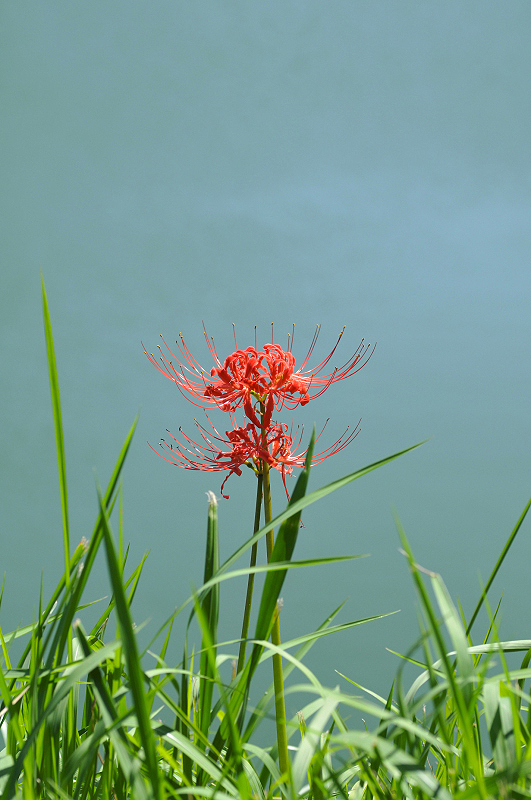 image0172