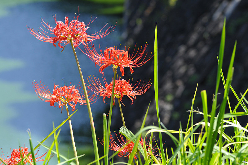 image0173