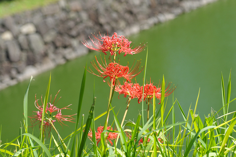 image0174