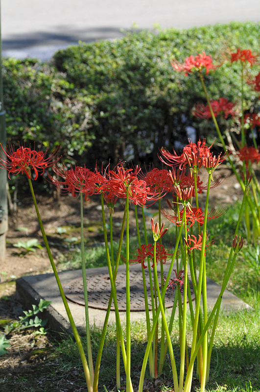 image0176