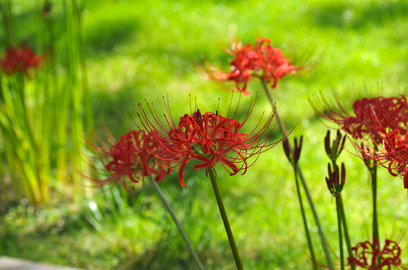 image0177