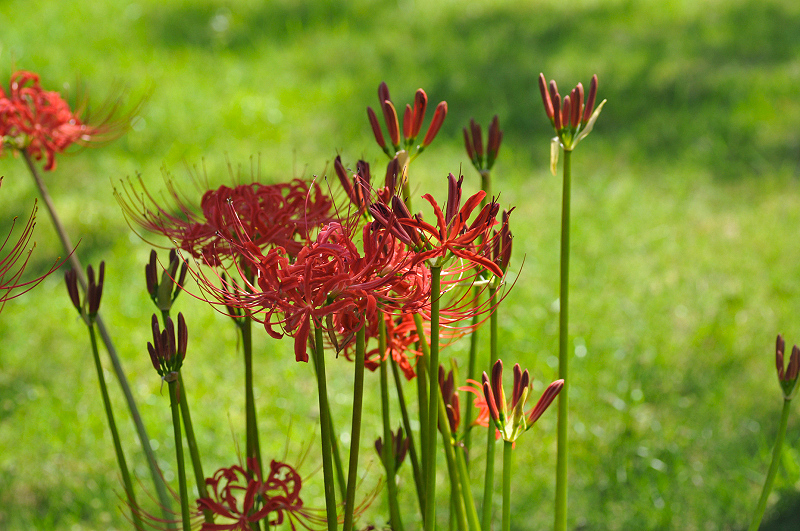 image0178