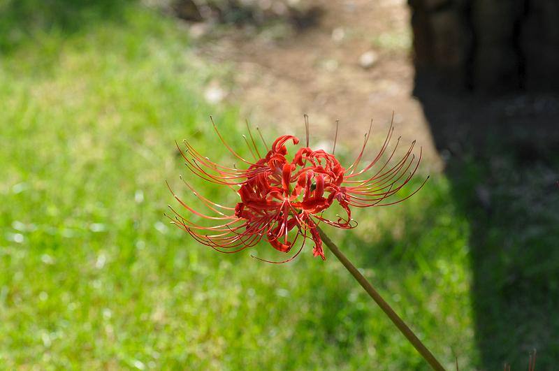 image0179