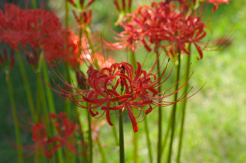 image0180