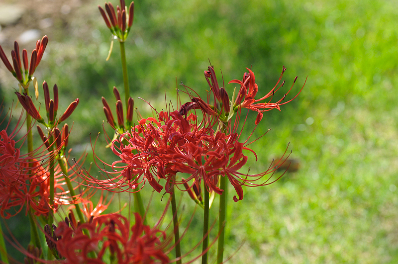 image0181