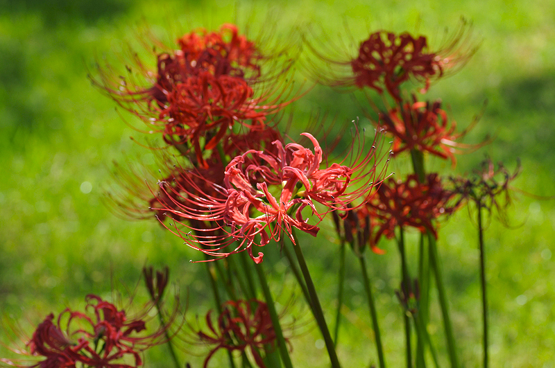 image0184