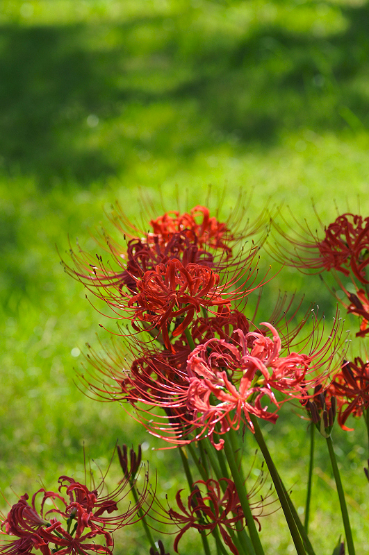 image0185
