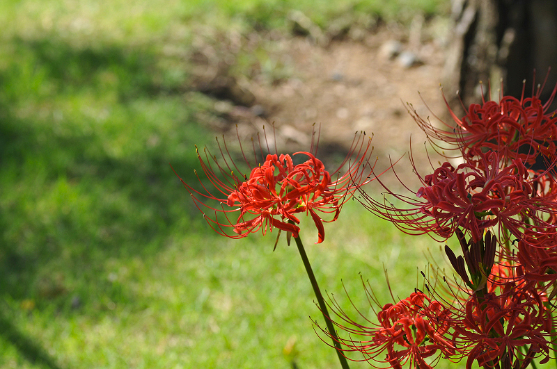 image0186