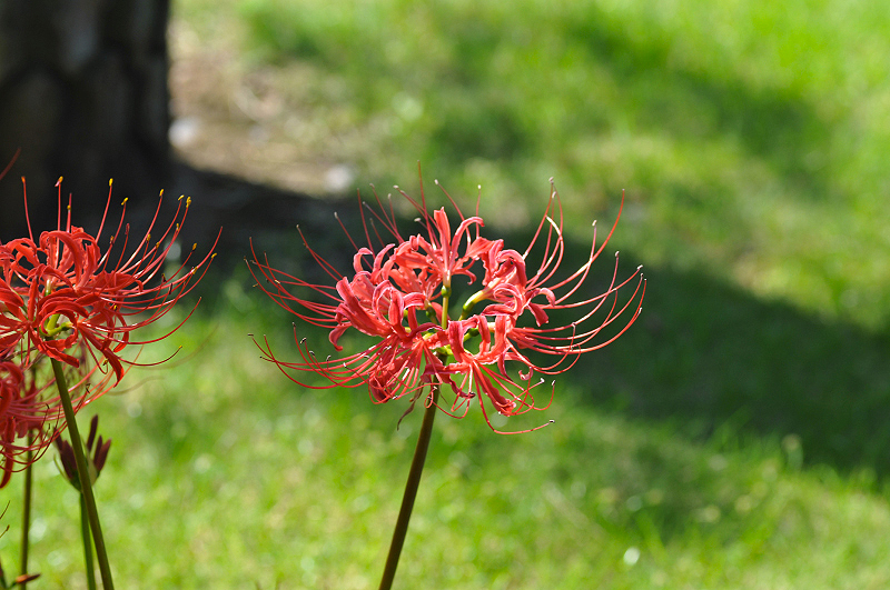 image0187