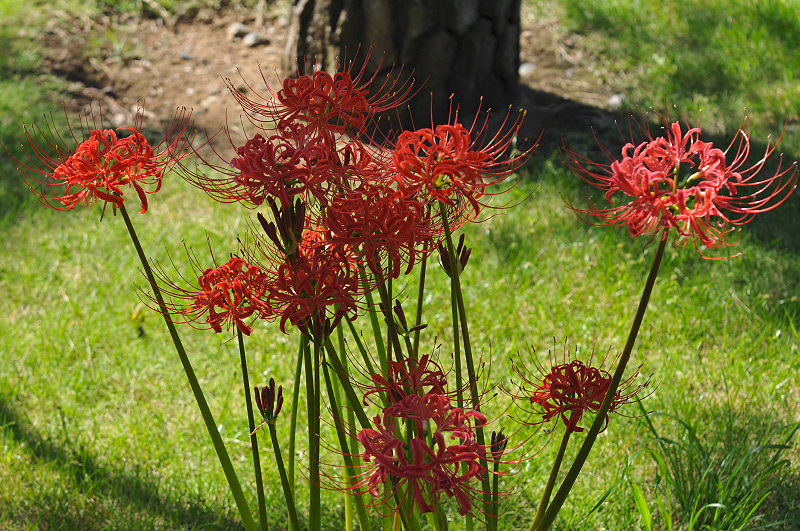 image0188