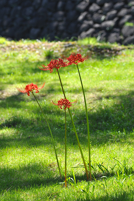 image0189