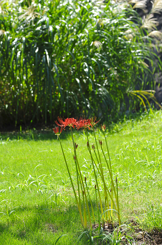 image0190