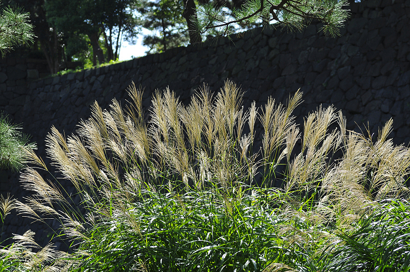 image0192