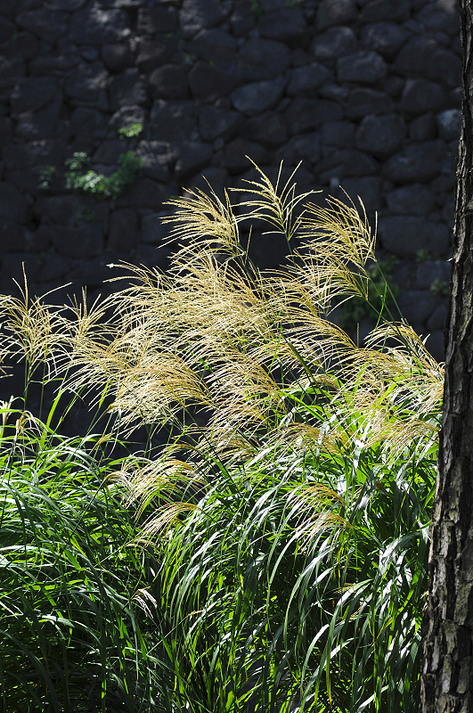 image0193