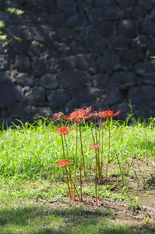 image0194