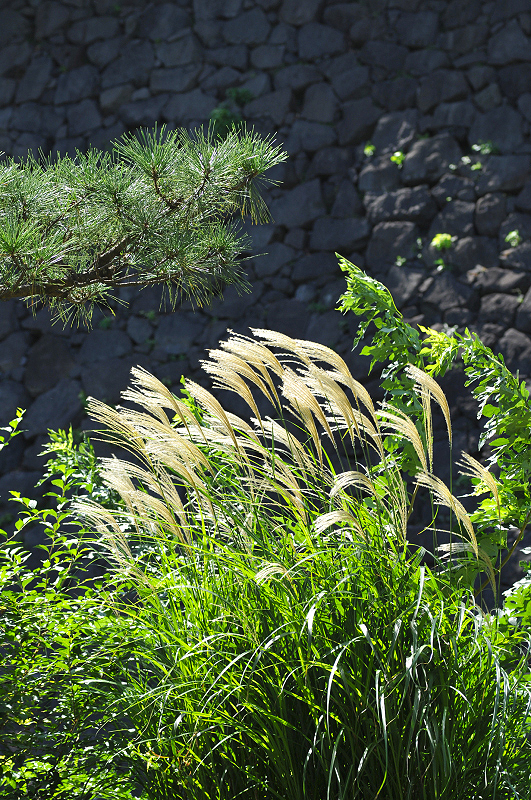 image0196