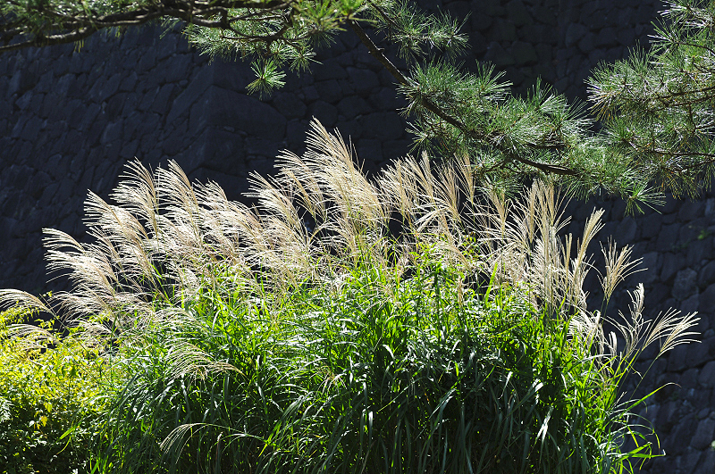 image0197