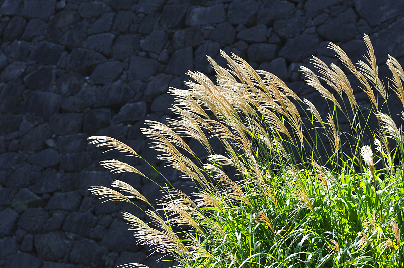image0200