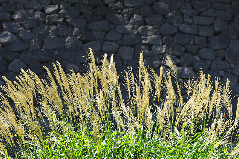 image0201