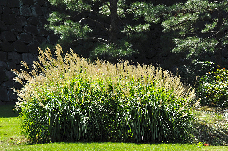 image0204