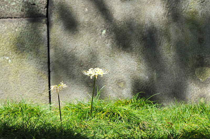 image0205
