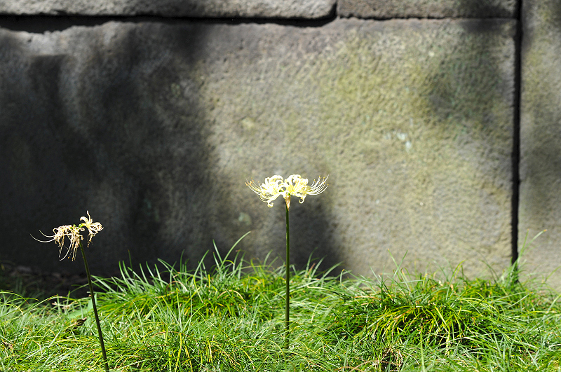 image0206