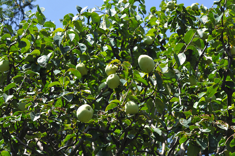 image0208