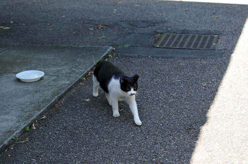 image0209