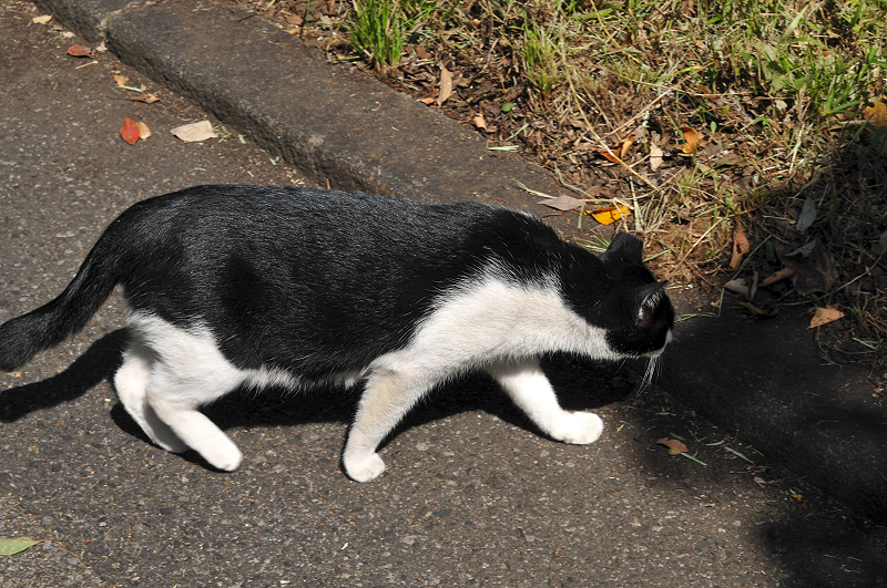 image0210