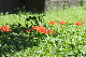 image0130