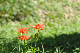 image0134