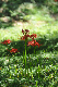 image0136