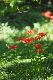 image0137
