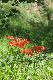 image0139