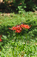 image0140