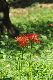 image0141