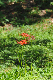 image0142