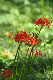 image0143