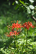 image0144