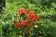 image0145
