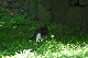 image0146