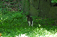 image0147