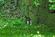 image0148
