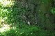 image0149