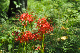 image0150